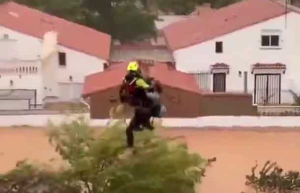 (VIDEO) ŠOKANTAN SNIMAK SPASAVANJA IZ SMRTONOSNIH POPLAVA OBUHVAĆA SVET: Žena drži životinje, voda joj do grla – a onda se desio NEVEROVATAN PRIZOR!