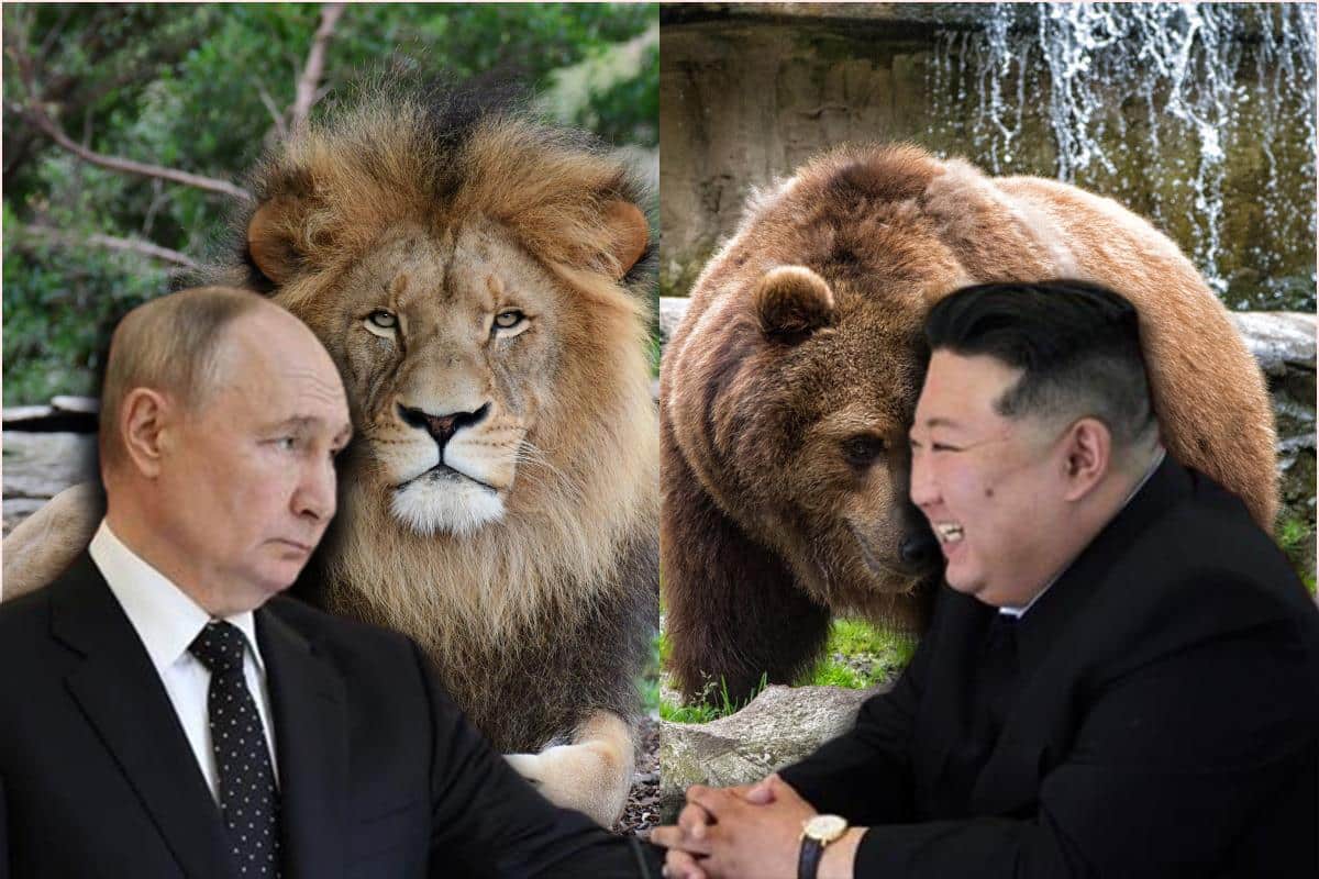 PUTIN DAO KIMOVOM ZOO VRTU VIŠE OD 70 ŽIVOTINJA: Kao poklon od ruskog predsednika u Severnu Koreju stigli lav i dva mrka medveda