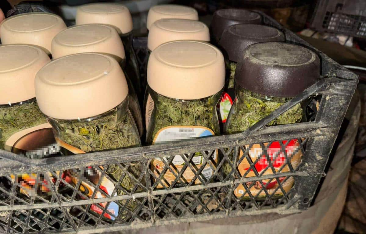 UHAPŠENA NOVOSAĐANKA! U KUĆI KRILA DROGU: Pretresom joj pronađen skoro kilogram marihuane (Foto)