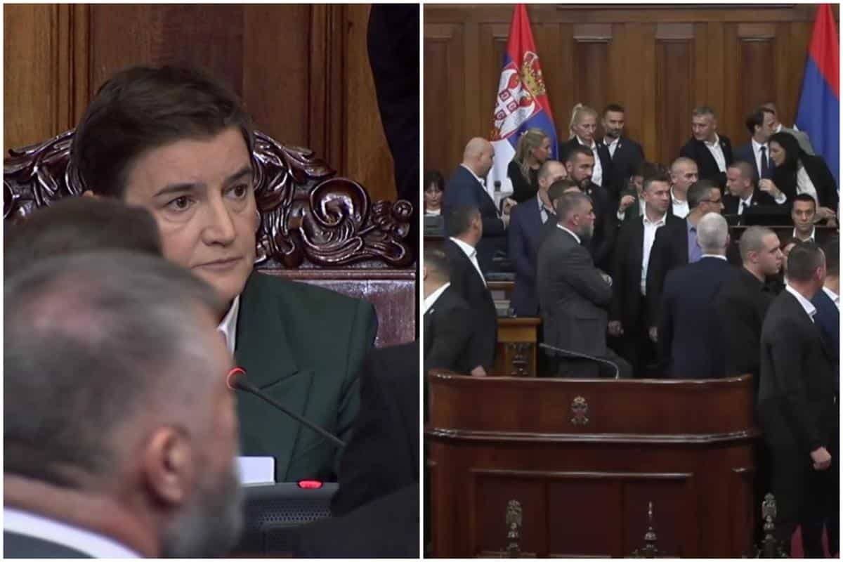 I PORED OPSTRUKCIJE ZAKLJUČENE SVE TAČKE DNEVNOG REDA: Opozicioni poslanici duvali u vuvuzele i pištaljke, Ana Brnabić poručila – “Mi nećemo rat, mi hoćemo rad”
