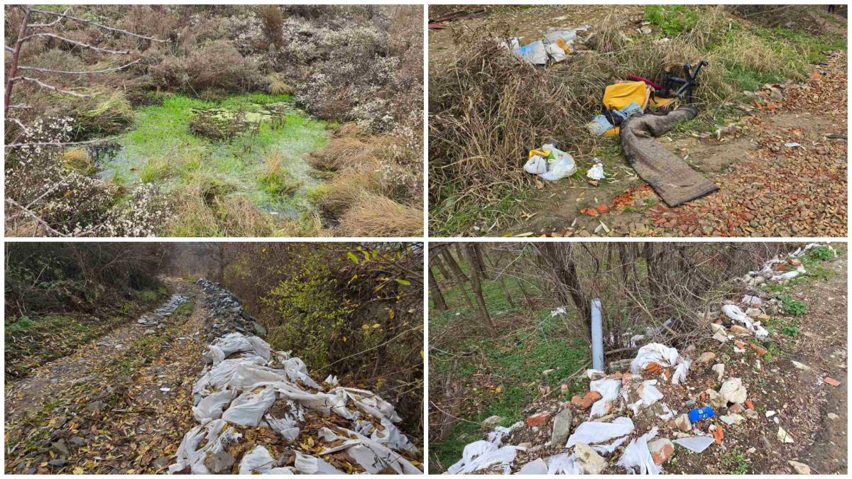 Na Bajdinoj padini jezera fekalija i naslage smeća, meštani traže rešenje: Plan urbanizacije podrazumeva šume, parkove, škole, vrtiće…