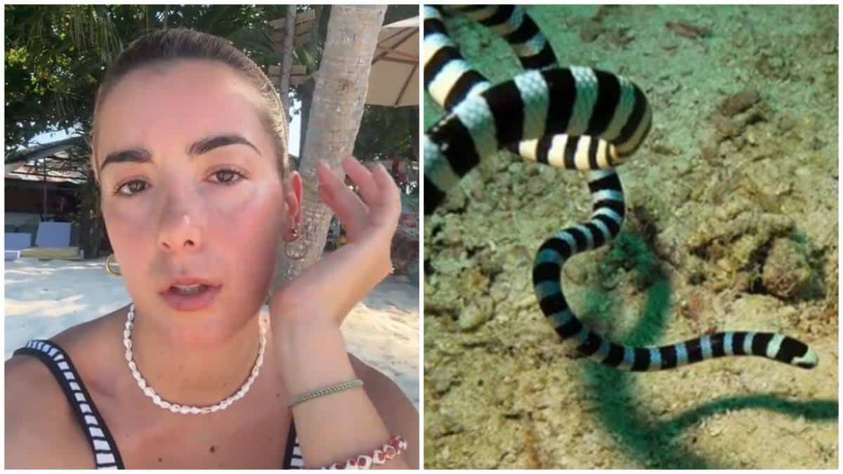 Anja na Maldivima oči u oči sa jednom od najotrovnijih zmija! Sedela u plićaku i uživala kada je naišlo ovo stvorenje, a priča dobija i još bizarniji obrt!