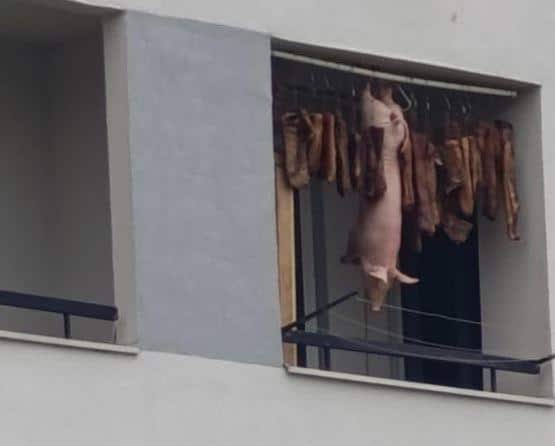 Gore mreže u Srbiji baš zbog ove slike! Domaćin okačio prase na terasu i odmah – rat! Od ovih što suše samo veš pljušte uvrede, oni drugi pitaju za adresu FOTO
