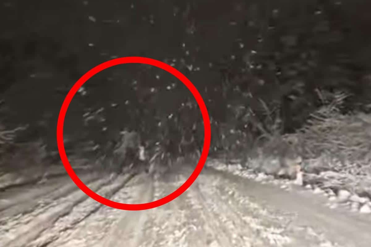 “UBICA NA PUTU KOD BORSKOG JEZERA” Kamera iz auta snimila SABLASAN PRIZOR u mrklom mraku: “Trebalo je odmah da okrene najbližu POLICIJSKU STANICU” (VIDEO)