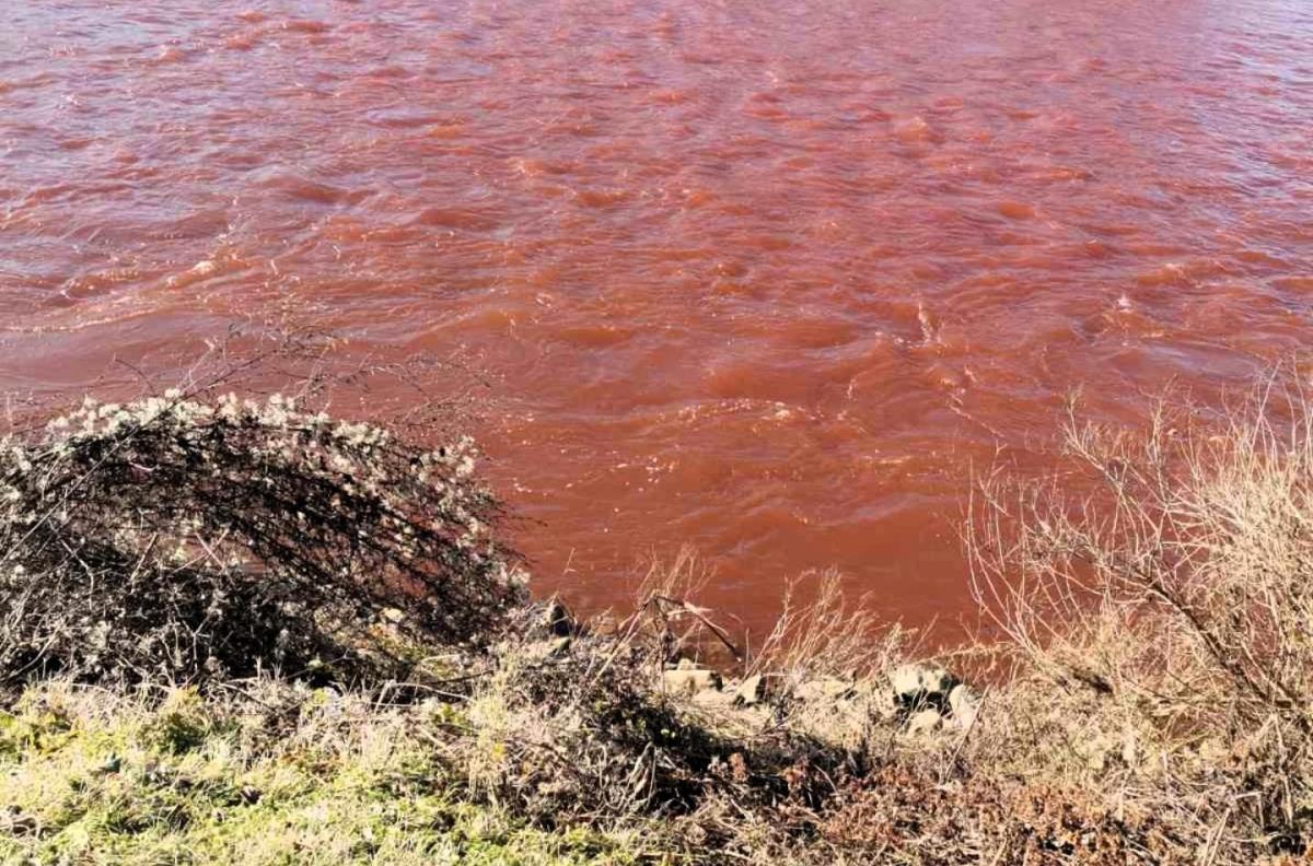 DRINA POCRVENELA KOD LOZNICE! Nema razloga za brigu – evo kako se to desilo (FOTO)