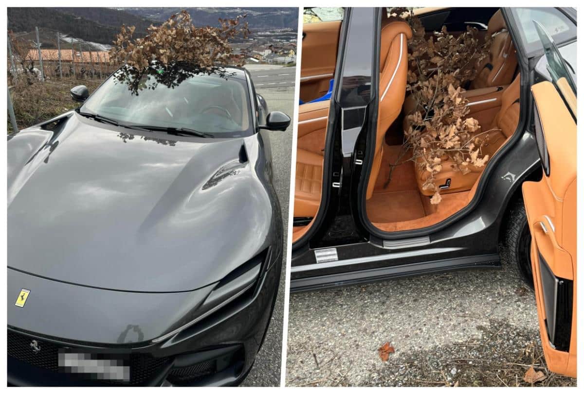 FERARI KOSTA NAJBOLJI ZA BADNJAK! Evo zašto za Ljubišu zna cela Švajcarska! Prvo ga u čudu gledali a sad se skupe na Badnji dan da vide komšu Srbina (video)