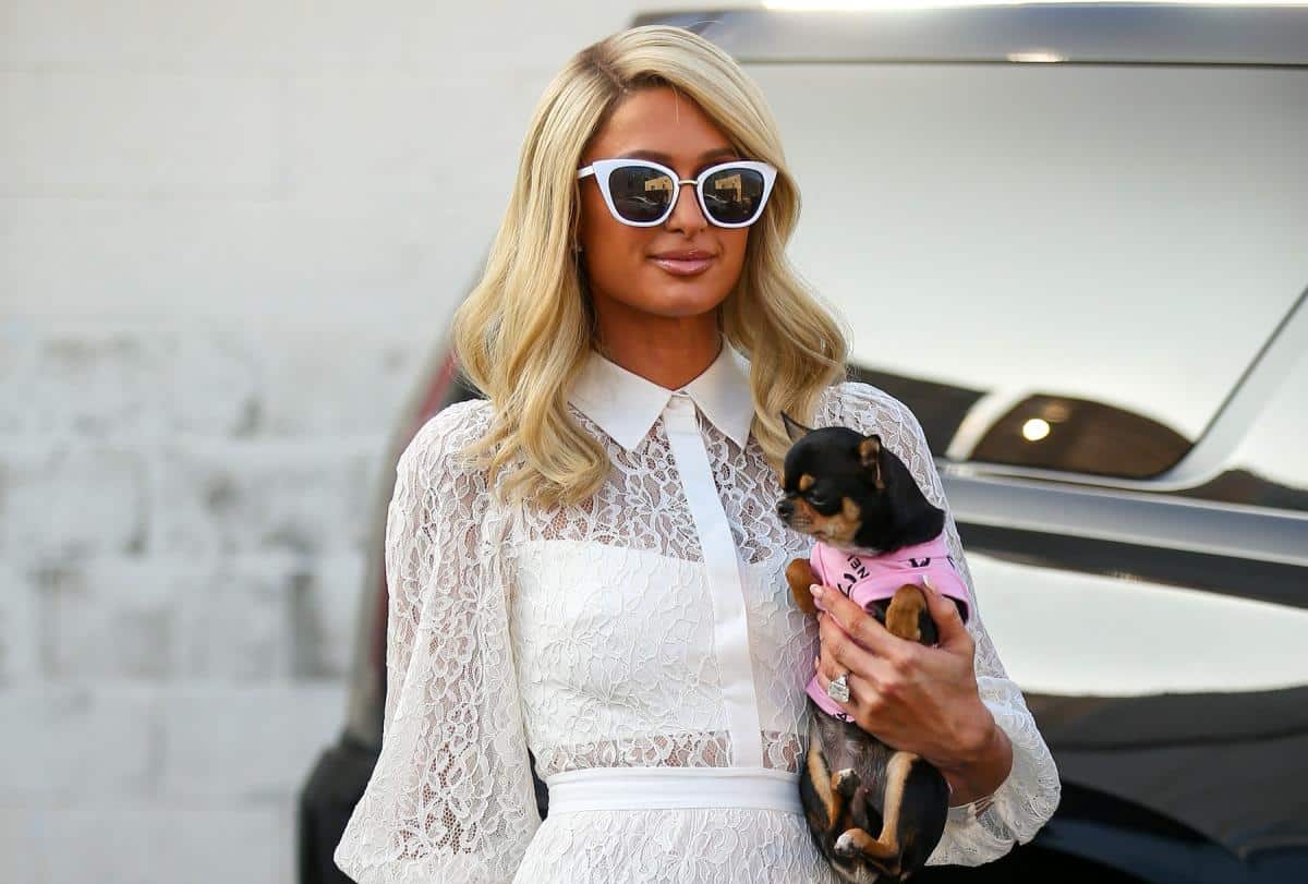 Paris Hilton donirala 100.000 dolara žrtvama požara u Los Anđelesu: Bogatašici izgorela kuća, ali želi da pomogne drugima