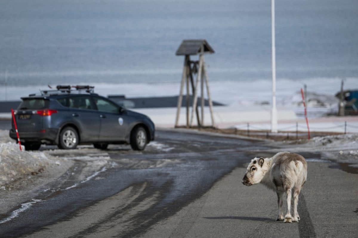 KAKO SE ŽIVI U NAJSEVERNIJEM NASELJU NA SVETU? Tamo ne sme da se umire, mačke su zabranjene, a bez OVOG ORUŽJA grad ne sme da se napusti (FOTO)