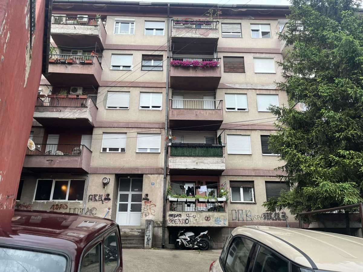 Žena zbog najezde insekata alarmirala celu zgradu, pa od komšije dobila šok odgovor: “Da li se ona šali ili je ozbiljna?”