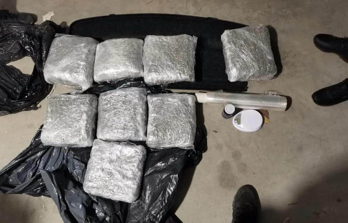 9 KILOGRAMA DROGE, MNOGO PARA… U Subotici uhapšen diler, ministar Dačić otkrio detalje
