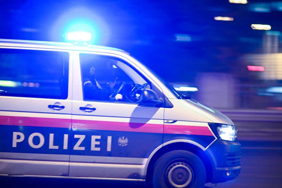 UPALI U KUĆU BEČKOG MILIONERA, ODNELI GOMILU PARA I NAKITA Austrijske Kobre uhapsile državljanina BiH i saučesnike