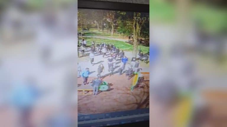 BRUTALNA MASOVNA TUČA U PRIJEPOLJU: Povređena braća, policija pretresla đački autobus, evo šta je sve pronađeno – POGLEDAJTE HAOS U PARKU (VIDEO)