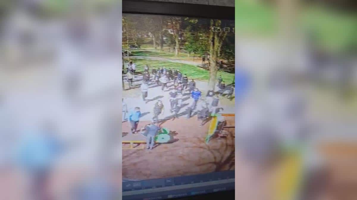 BRUTALNA MASOVNA TUČA U PRIJEPOLJU: Povređena braća, policija pretresla đački autobus, evo šta je sve pronađeno – POGLEDAJTE HAOS U PARKU (VIDEO)