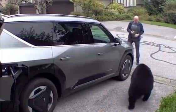 Krenuo do svoje garaže, a onda ga je iznenada napao medved: Taman je pomislio da je bezbedan, dogodio se šok preokret, jedva izvukao živu glavu (VIDEO)
