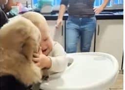 Prvi susret bebe i šteneta osvojio je čitav svet: Mnogima se srce rastopilo od slatkoće, ali ipak upozoravaju na jednu stvar (VIDEO)