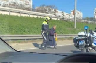BAKA SA SVE ŠTAPOM POKUŠALA DA PREĐE AUTO-PUT! Pogledajte nesvakidašnji prizor i reakciju policajaca, zaustavili kolonu vozila i evo šta su uradili (video)
