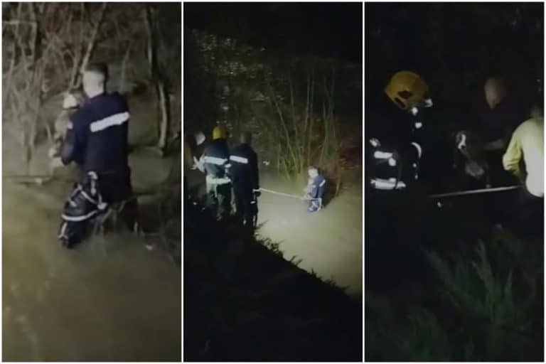 VATROGASCI SPASLI PSA IZ ĐETINJE! Životinja bila zaglavljena među granjem u nabujaloj reci (VIDEO)