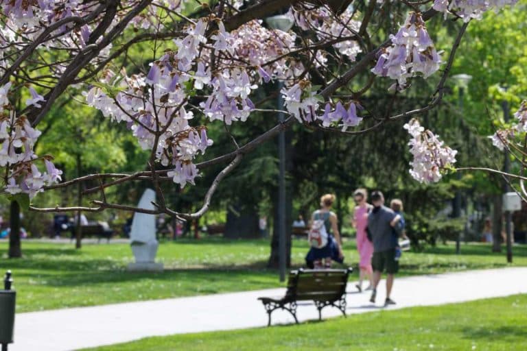 Proleće 2025. donosi revoluciju za svaki horoskopski znak: Velike promene će uticati na vaš život, evo i kako