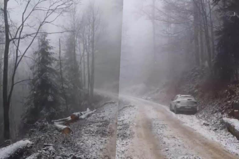 SNEG PADA U APRILU! Nestvarne slike s Tare kod Predovog krsta! (VIDEO)