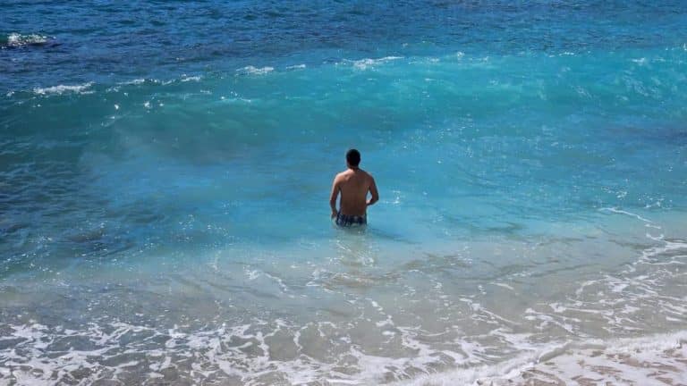 Crna GoraCrna GoraPRVO MORSKE KUPANJE U APRILU KAO DA JE JUL! Na crnogorskom primorju već "gori", plaže pune turista: Pogledajte prve scene leta! (FOTO)ReagujKomentarišiReagujKomentariši