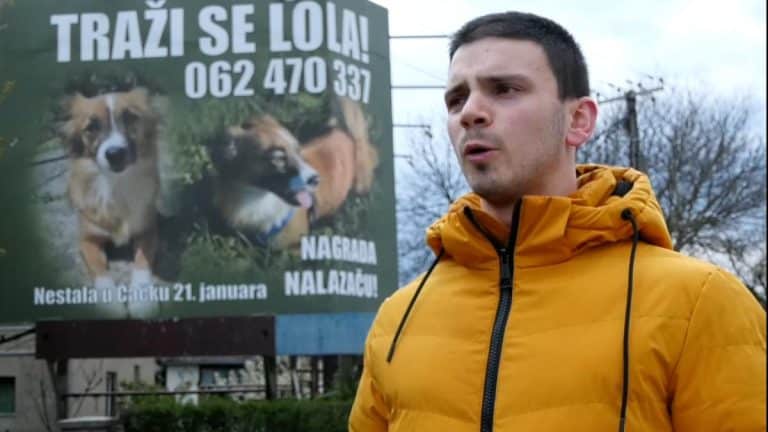 MARKO ZAKUPIO BILBORD DA PRONAĐE SVOJU LOLU: Dirljiva priča o ljubavi čoveka i psa, mladi Čačanin mesecima traži svog ljubimca, nudi i nagradu (FOTO)