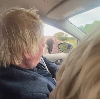 Nekadašnjeg britanskog premijera Borisa Džonsona napao noj: Njegova reakcija nasmejala je čitav svet (VIDEO)