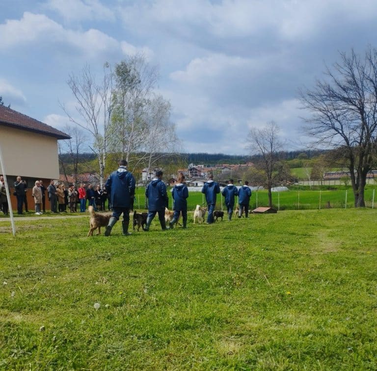 ŠTIĆENICI POPRAVNOG DOMA U KRUŠEVCU ZAVRŠILI OBUKU RADA SA PSIMA: Direktnoj podrška za mlade ljude da se što pre zaposle!