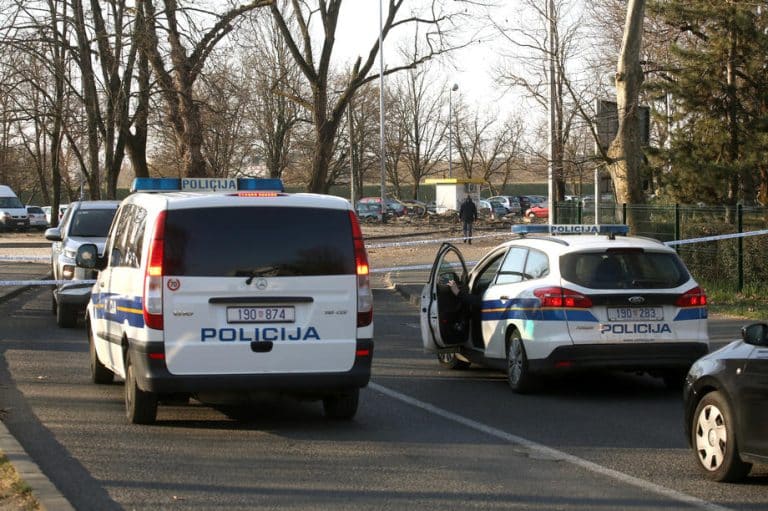 SRUŠIO SE AVION KOD SISKA! Letelici otkazao motor, hitne službe na terenu!