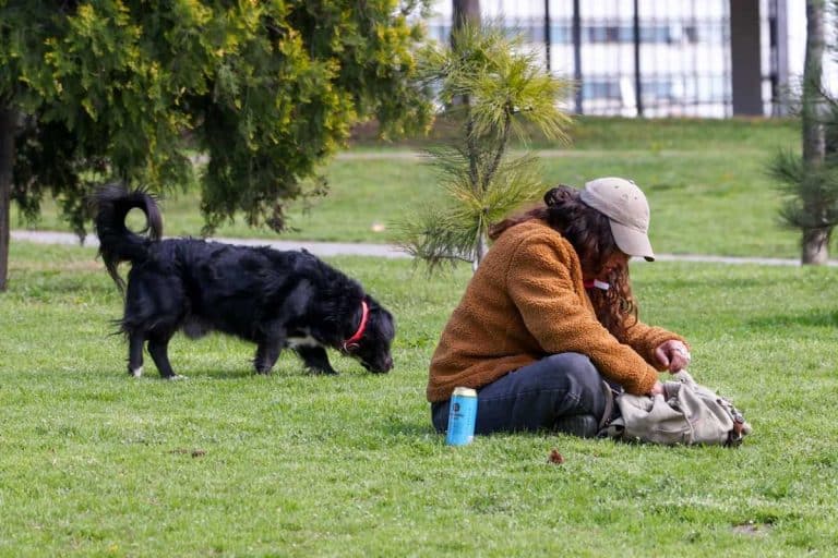 Za vikend vedro i toplo vreme, a onda sledi obrt! Temperatura pada, a u pojedinim delovima mogu se očekivati pljuskovi sa grmljavinom – evo kada i gde!