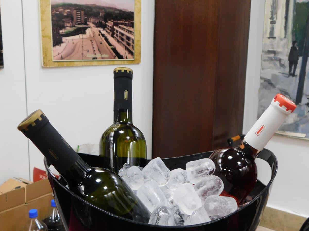 SEDMO DRUŽENJE UZ VINO Danas u Muzeju Jadra u Loznici (FOTO)