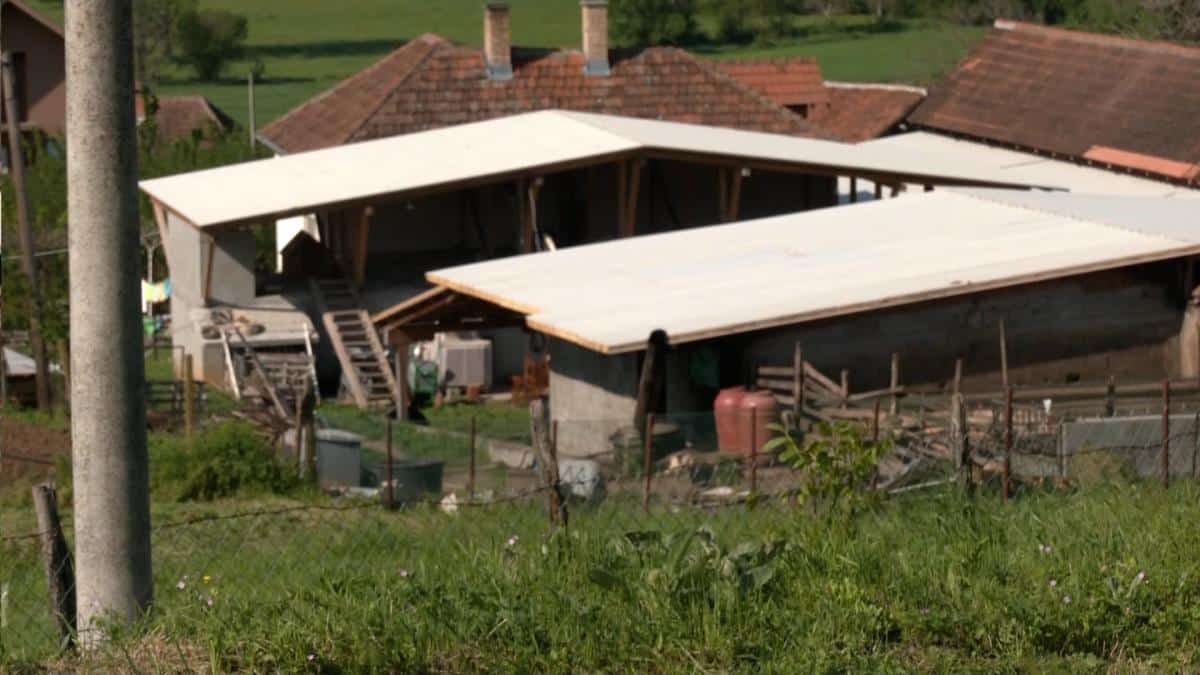 NA IMANJU PORODICE KOJA JE OSTALA BEZ 3 ČLANA PRE MESEC DANA IZBIO STRAŠAN POŽAR: U tom istom objektu izgorelo im je 150 svinja, šta ih je ovo snašlo?