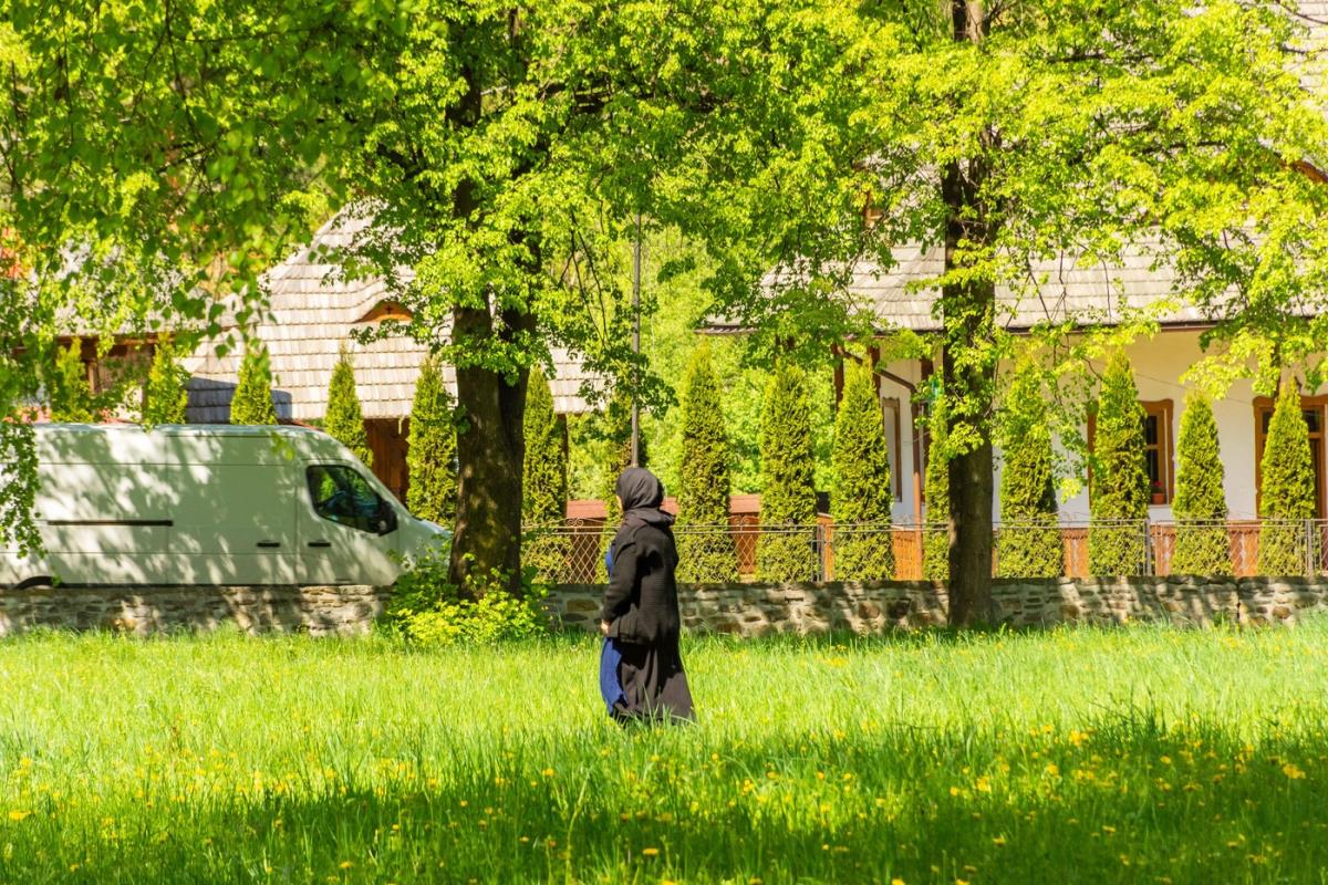 Biljke će vam se preporoditi od čudesnog recepta monahinja: Jedna namirnica koristi se već 2000 godina za rast, a prirodna “hrana” spašava ih mnogih bolesti